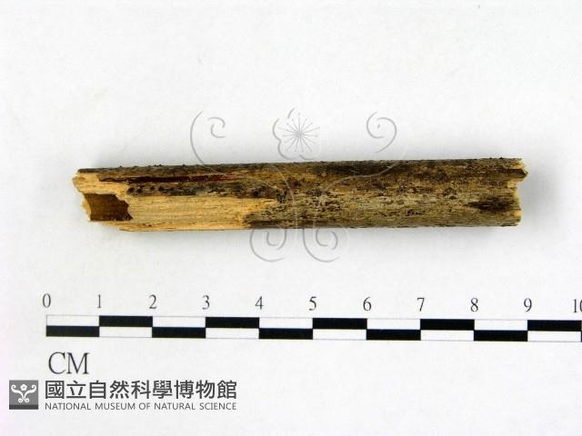 登錄號:F0016910藏品圖，第3張