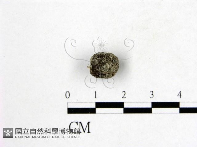 登錄號:F0000610藏品圖，第3張