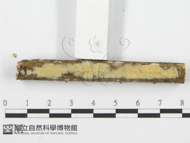 登錄號:F0001610藏品圖，第3張