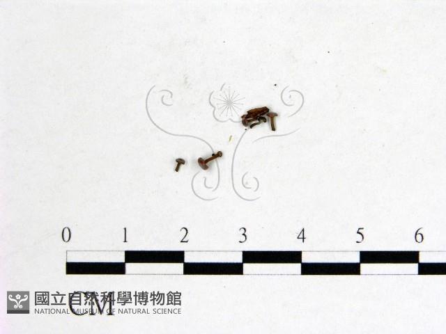 登錄號:F0022610藏品圖，第3張