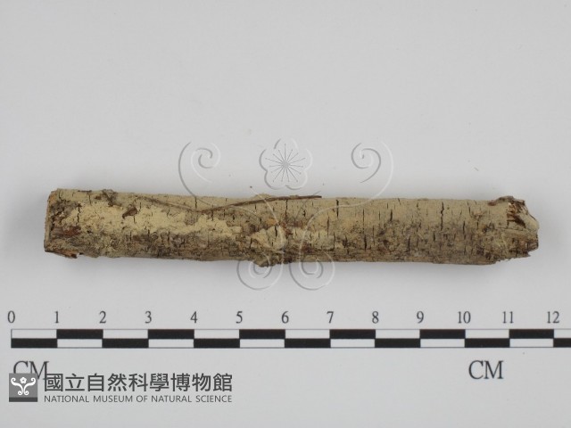 登錄號:F0003610藏品圖，第3張