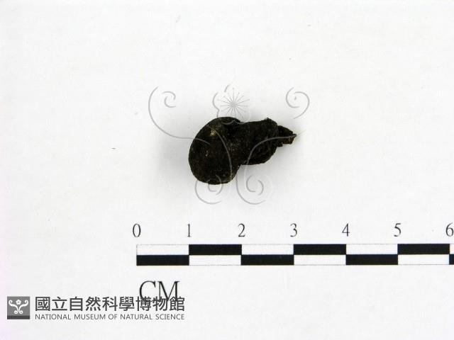 登錄號:F0000410藏品圖，第3張