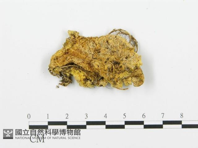 登錄號:F0009410藏品圖，第3張