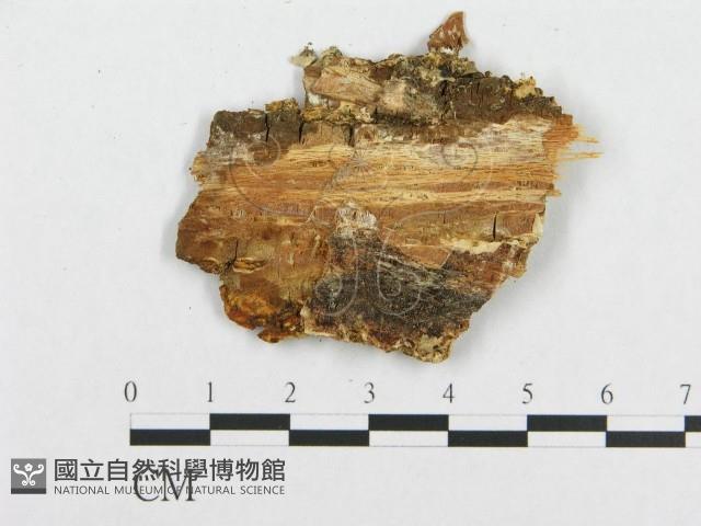 登錄號:F0000710藏品圖，第3張