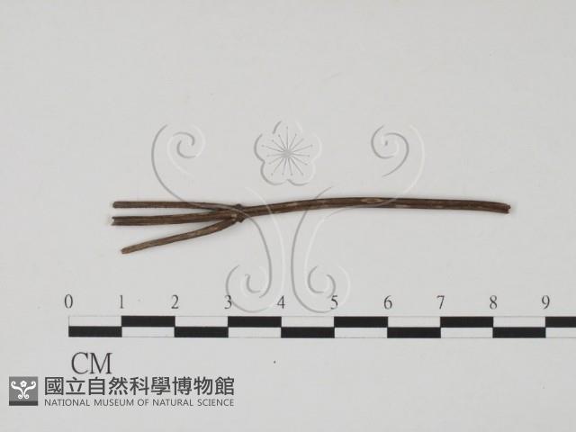 登錄號:F0011710藏品圖，第3張