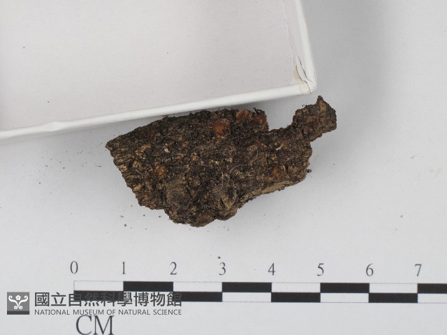 登錄號:F0004710藏品圖，第3張