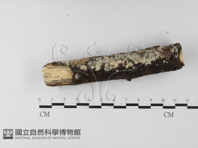 登錄號:F0014710藏品圖，第3張