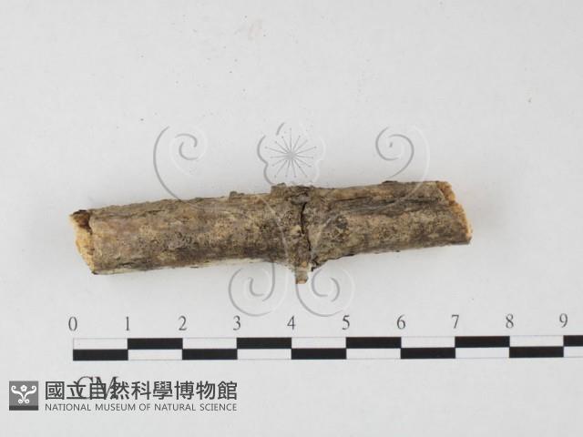 登錄號:F0026510藏品圖，第3張