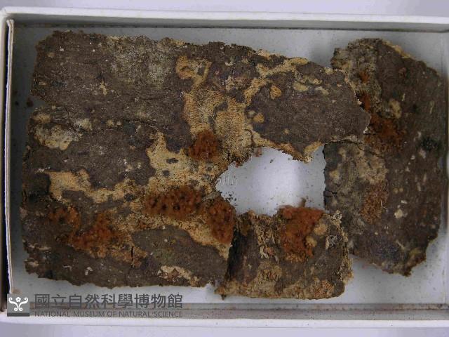 登錄號:F0021510藏品圖，第3張