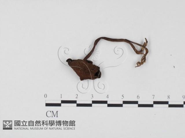 登錄號:F0024510藏品圖，第3張
