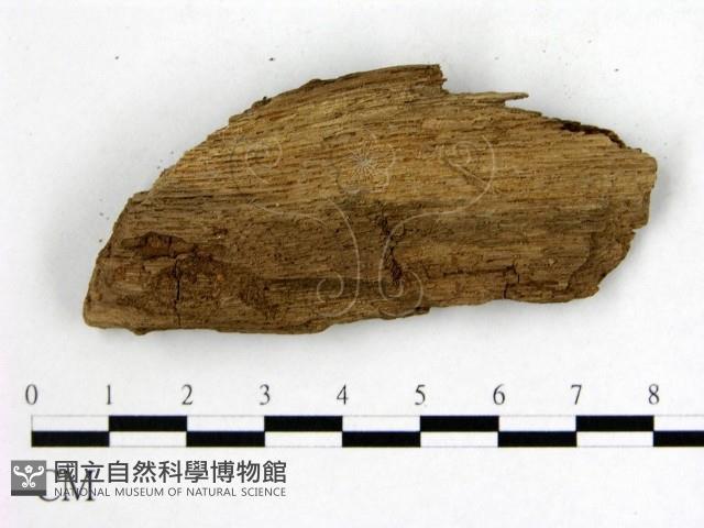 登錄號:F0008110藏品圖，第3張