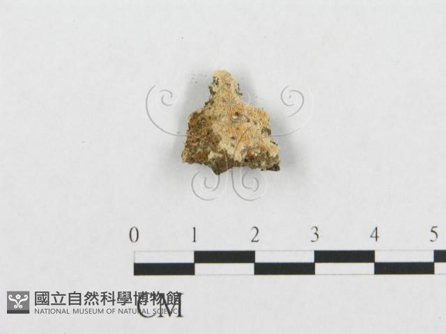 登錄號:F0007110藏品圖，第3張