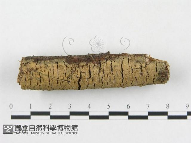 登錄號:F0005110藏品圖，第3張