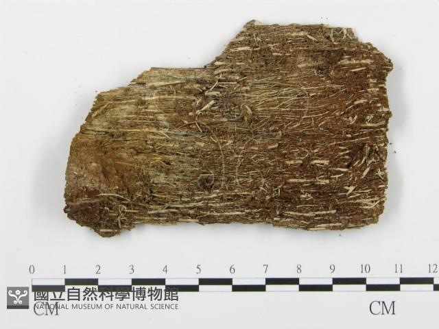 登錄號:F0004010藏品圖，第1張