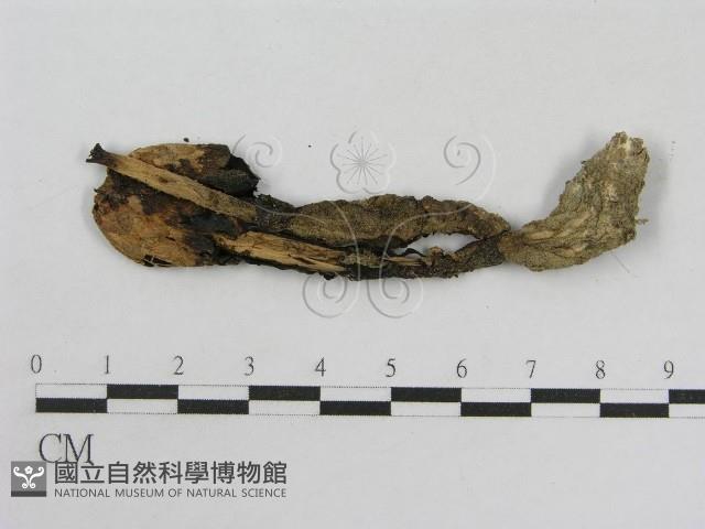 登錄號:F0002250藏品圖，第3張