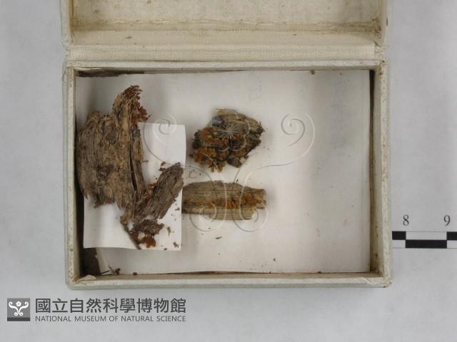 登錄號:F0023250藏品圖，第3張