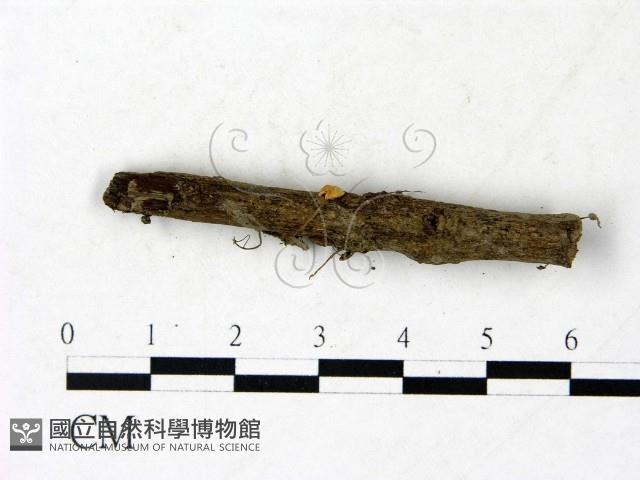 登錄號:F0022850藏品圖，第3張