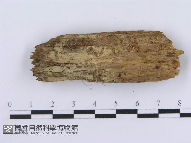 登錄號:F0003950藏品圖，第3張