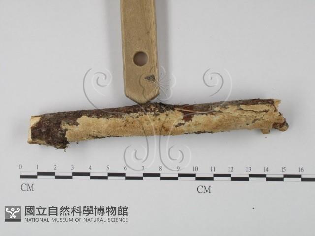登錄號:F0001650藏品圖，第3張