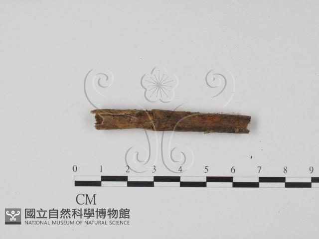 登錄號:F0019650藏品圖，第3張