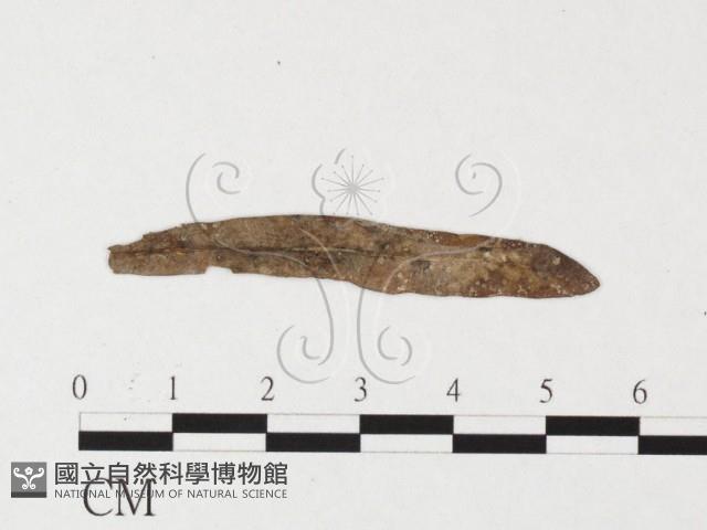 登錄號:F0026450藏品圖，第1張