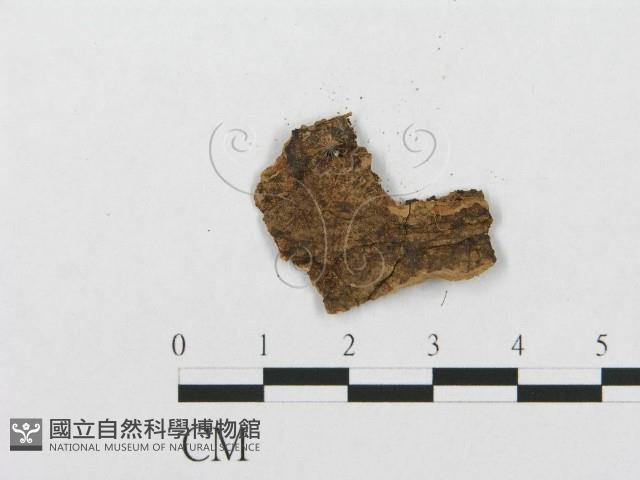 登錄號:F0009450藏品圖，第3張