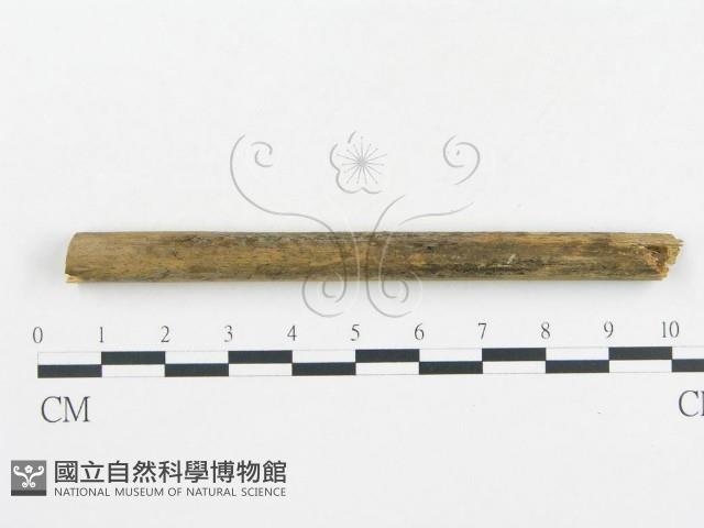 登錄號:F0013450藏品圖，第3張