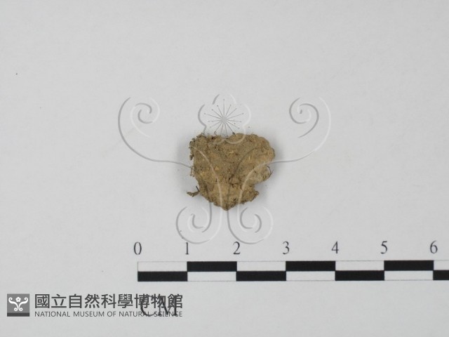 登錄號:F0000750藏品圖，第3張