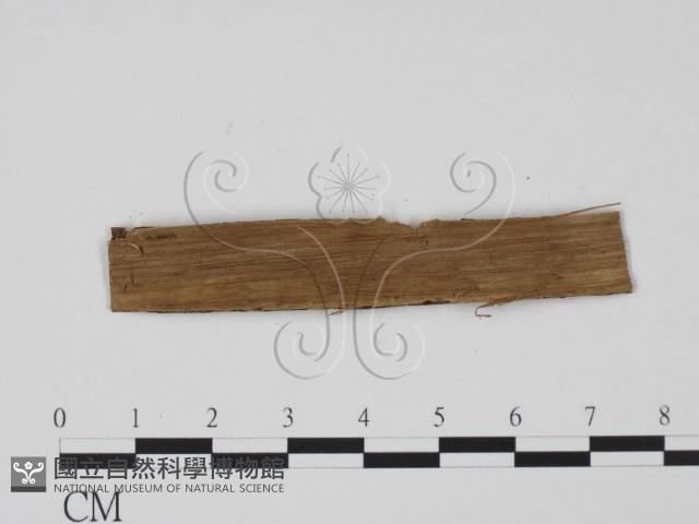 登錄號:F0011750藏品圖，第3張