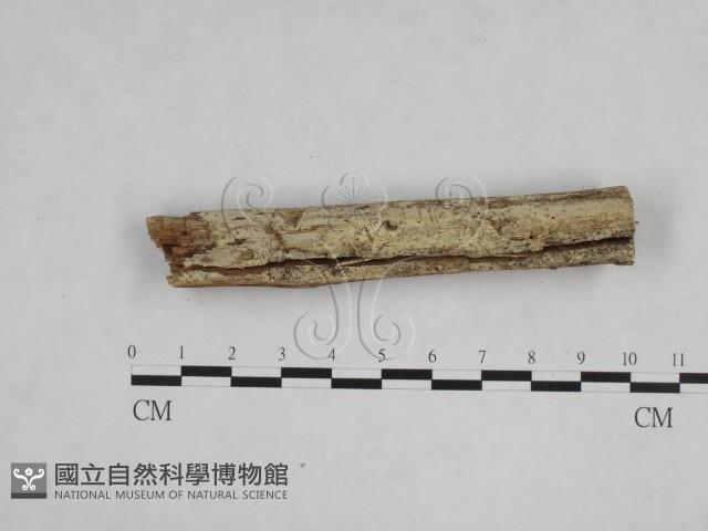 登錄號:F0024750藏品圖，第3張