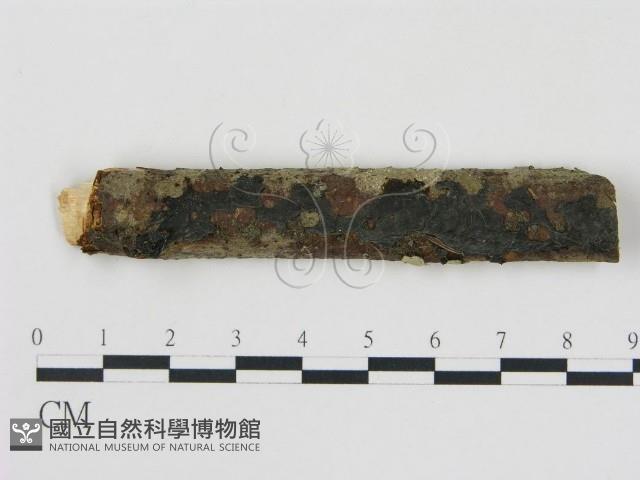 登錄號:F0000550藏品圖，第3張