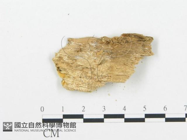 登錄號:F0009550藏品圖，第3張