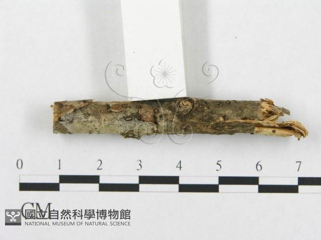 登錄號:F0013550藏品圖，第3張