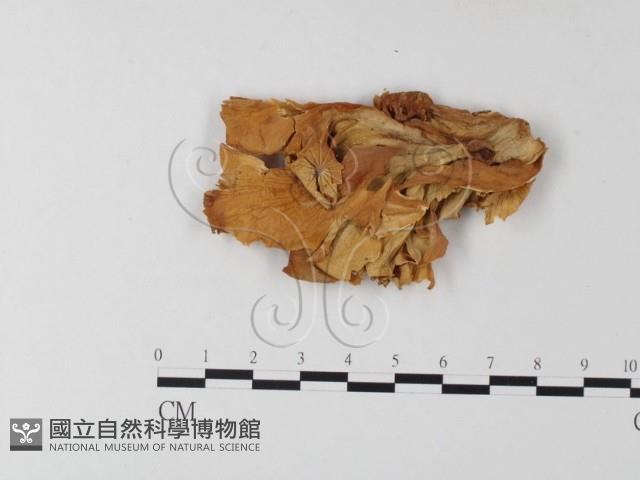 登錄號:F0008150藏品圖，第3張