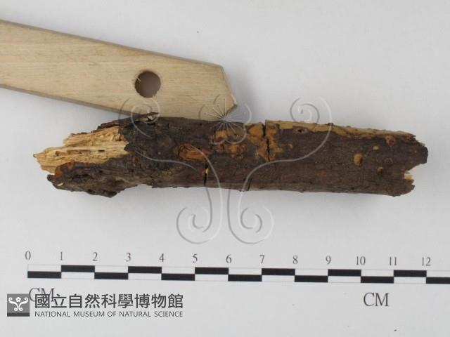 登錄號:F0022150藏品圖，第3張