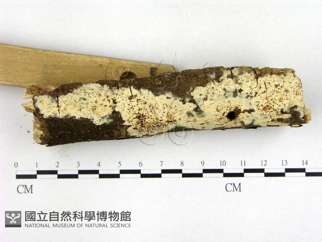 登錄號:F0003150藏品圖，第3張