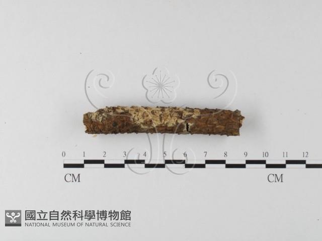 登錄號:F0020050藏品圖，第3張