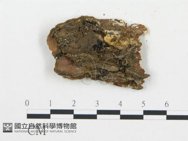 登錄號:F0014050藏品圖，第3張