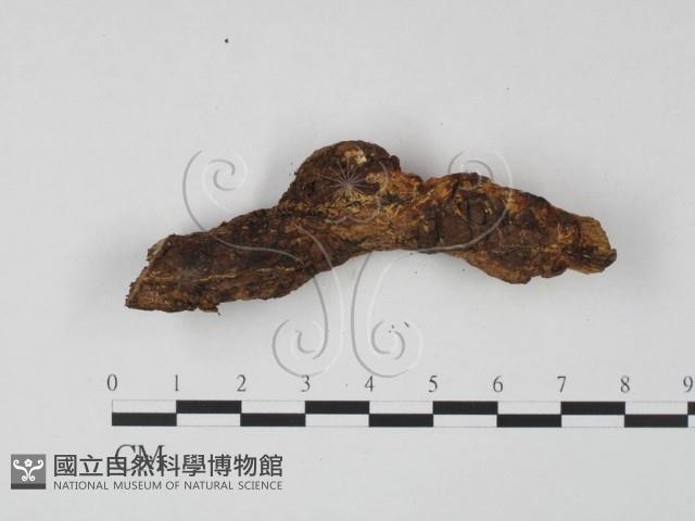 登錄號:F0022050藏品圖，第3張