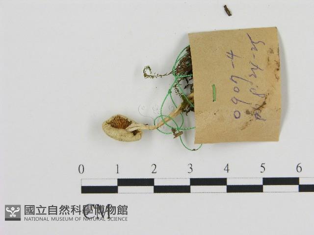 登錄號:F0017050藏品圖，第3張