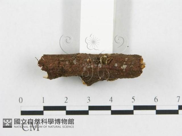 登錄號:F0002350藏品圖，第3張