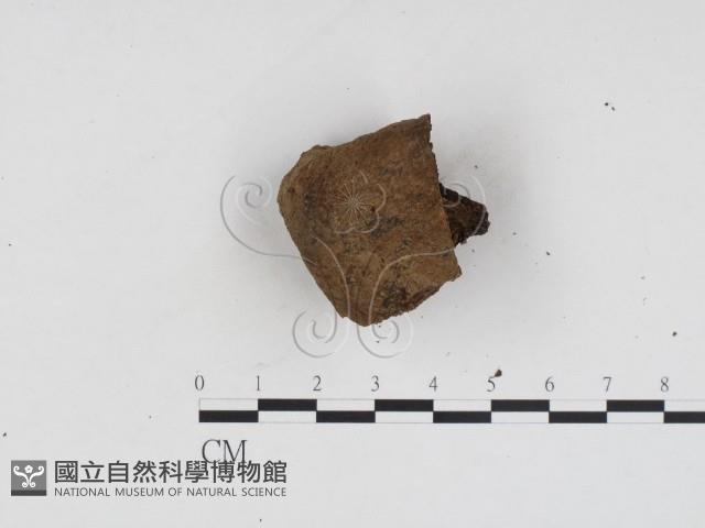登錄號:F0024240藏品圖，第3張