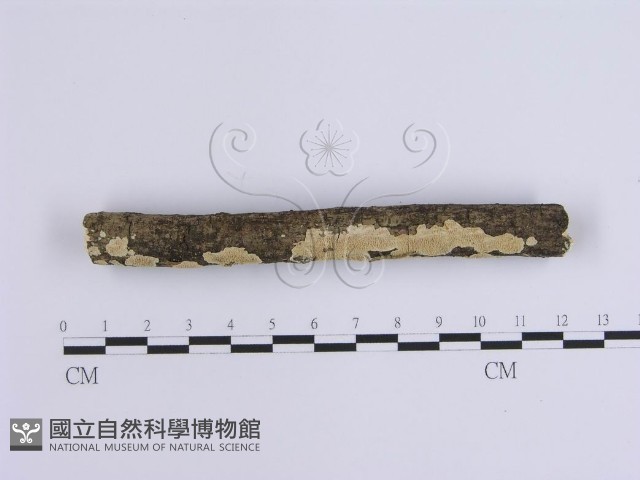 登錄號:F0002940藏品圖，第3張
