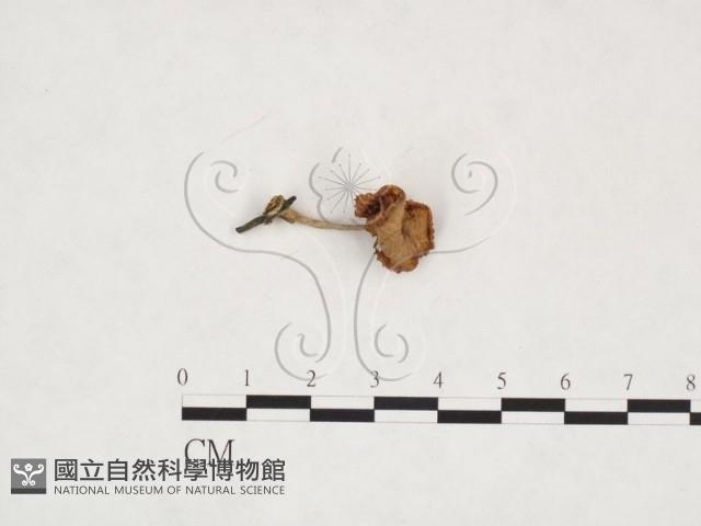 登錄號:F0025940藏品圖，第3張