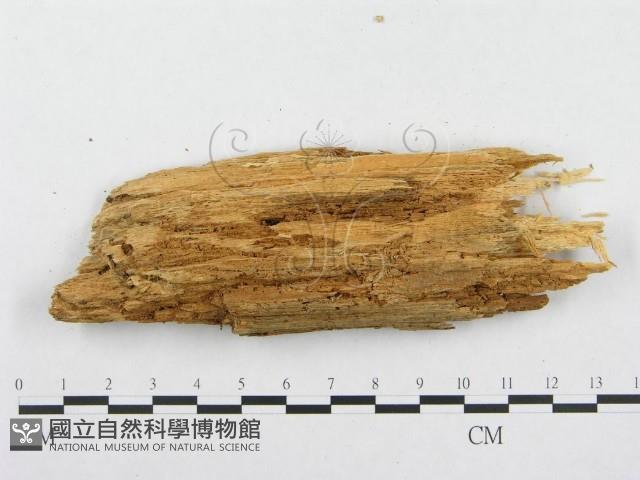 登錄號:F0005940藏品圖，第3張