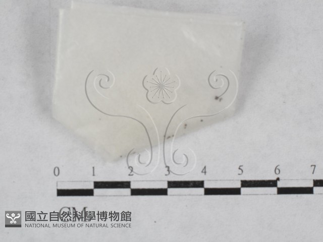 登錄號:F0028640藏品圖，第3張