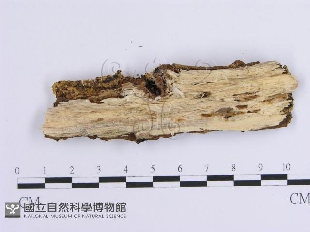 登錄號:F0001640藏品圖，第3張