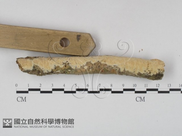 登錄號:F0023640藏品圖，第3張