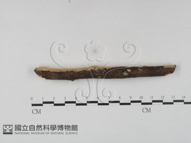 登錄號:F0022440藏品圖，第3張