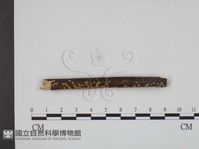 登錄號:F0002440藏品圖，第3張